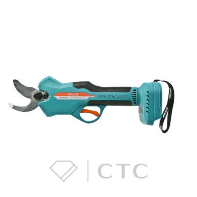 cf4df085-a508-11f0-bb1b-00505696f41e