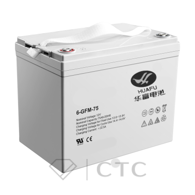 Аккумулятор для штабелёров IWS/PWS/WS 12V/75Ah гелевый (Gel battery)