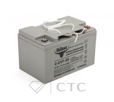 Аккумулятор для штабелёров CBD20W/CDDR-E/IWS/WS/CDDB-E/DYC 12V/100Ah гелевый (Gel battery)