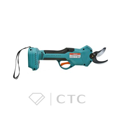 cf4df0aa-a508-11f0-bb1b-00505696f41e